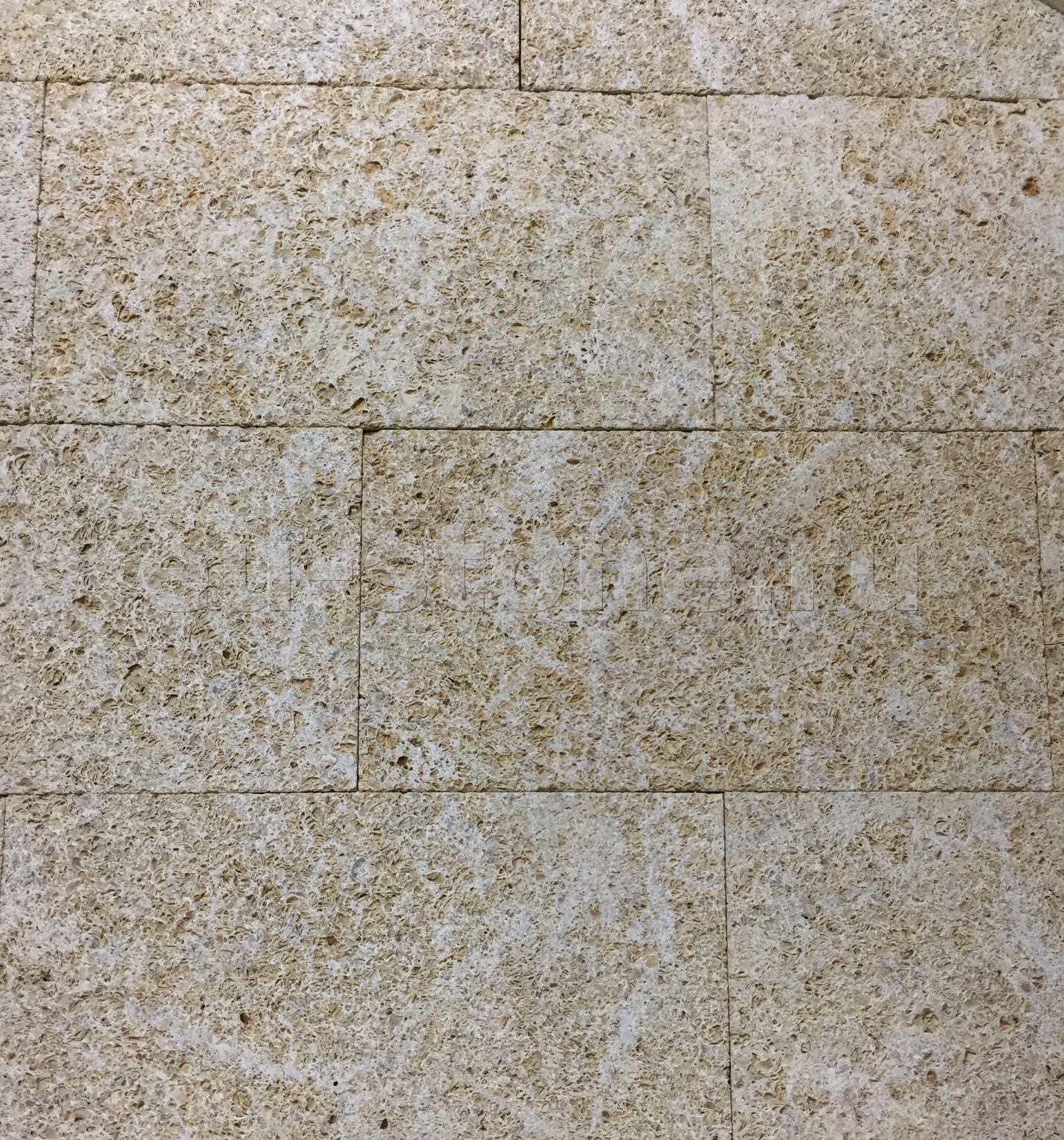 Плитка из ракушечника