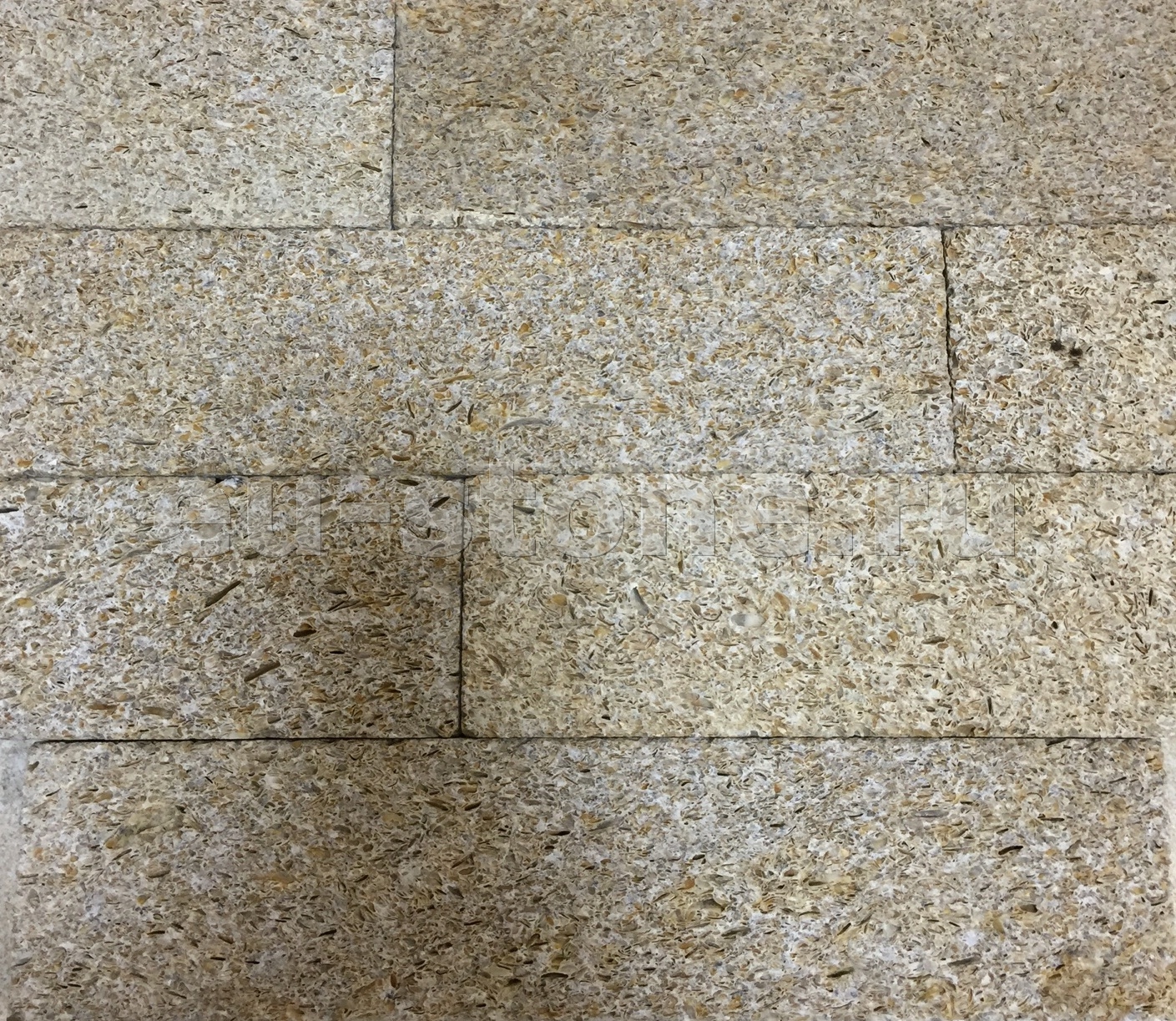 Плитка из ракушечника